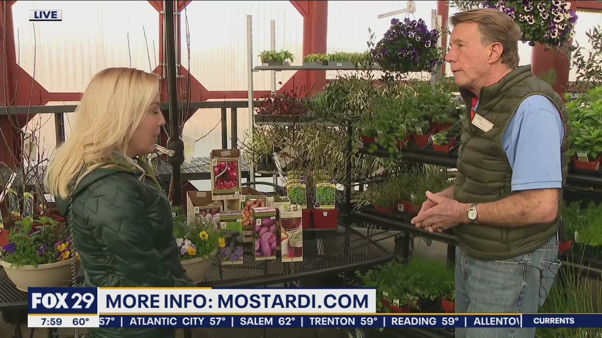 Gardening tips from Mostardi Nursery in Newton Square